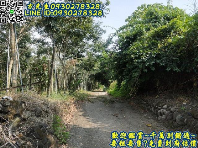 楠西農地-3
