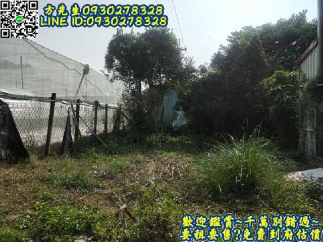楠西農地-8