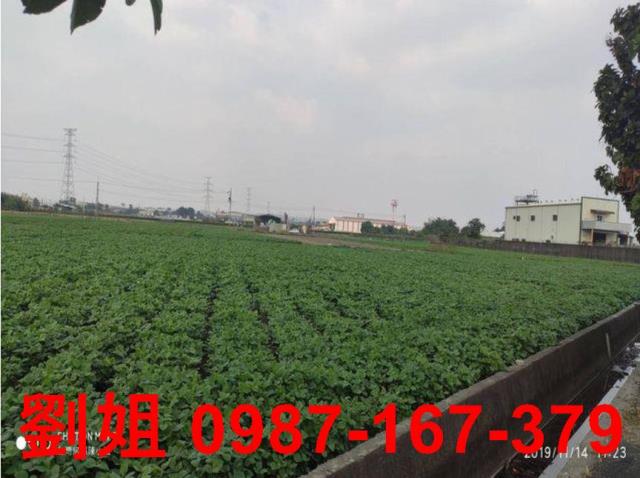 高雄大寮農地-1