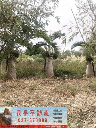 苗栗公館農地-4