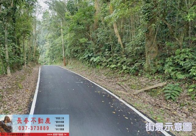 苗栗獅潭林地-1