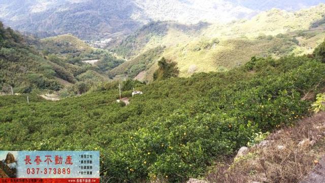 苗栗建地-2