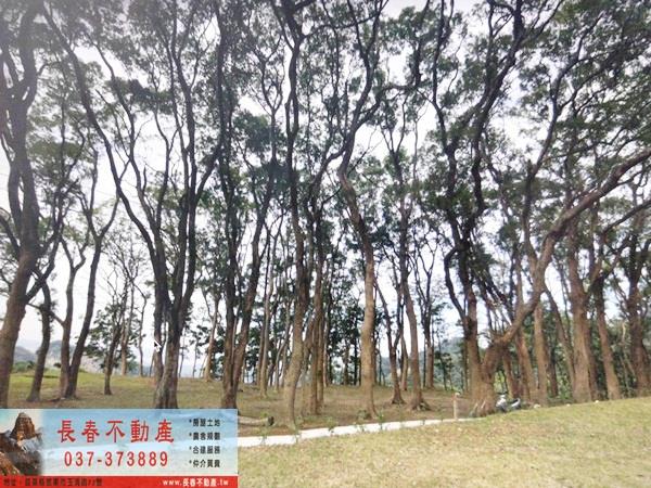 苗栗農地-2