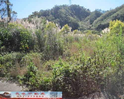 苗栗獅潭農地-3