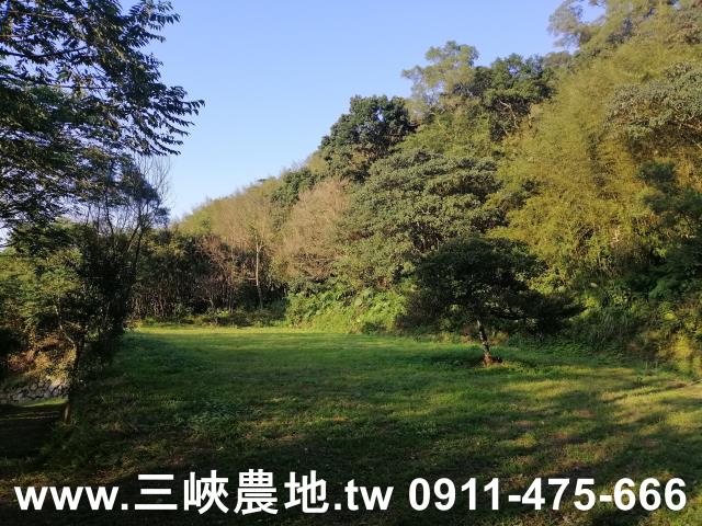新北三峽農地-1