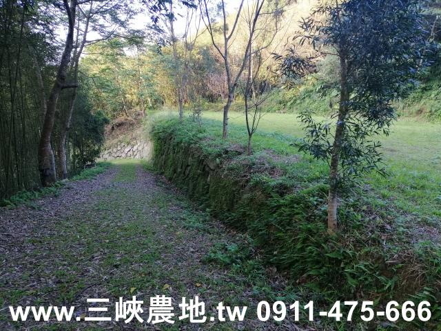 新北三峽農地-6
