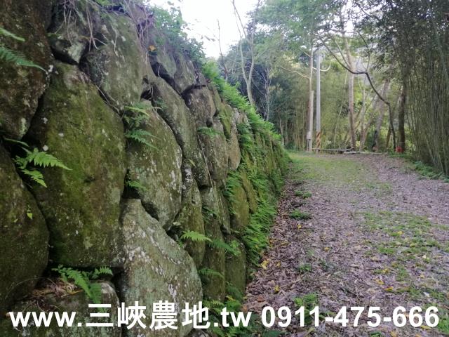 新北三峽農地-8