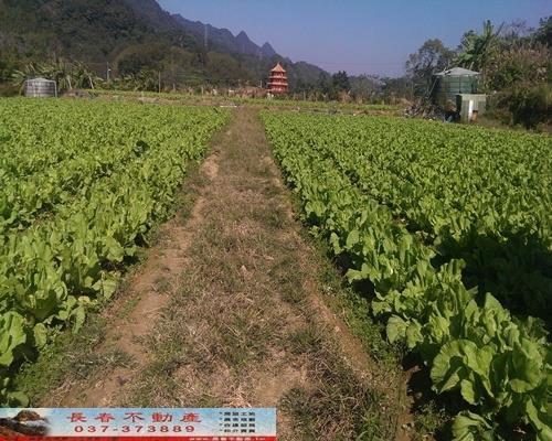 獅潭農地-1