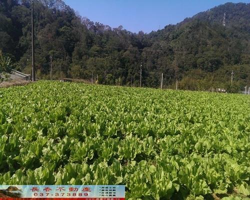 獅潭農地-2