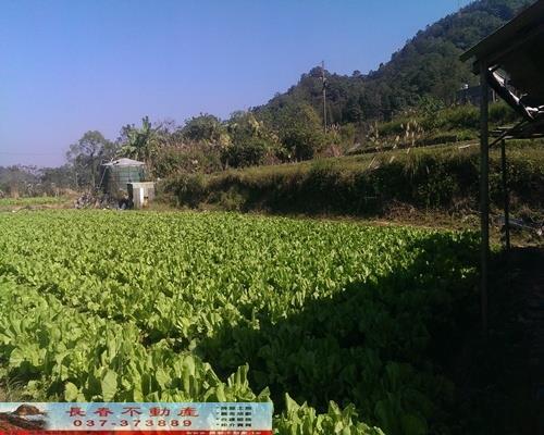 獅潭農地-3