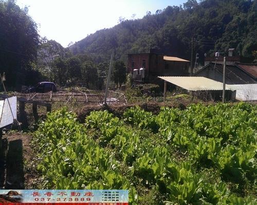 獅潭農地-4
