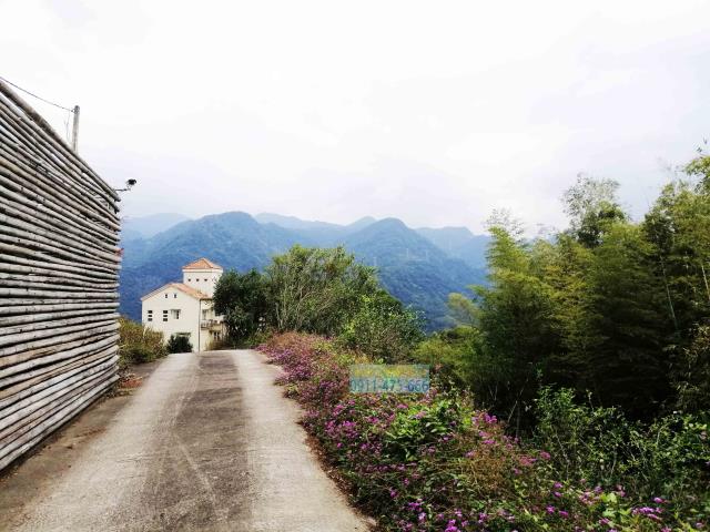 新北三峽農地-2