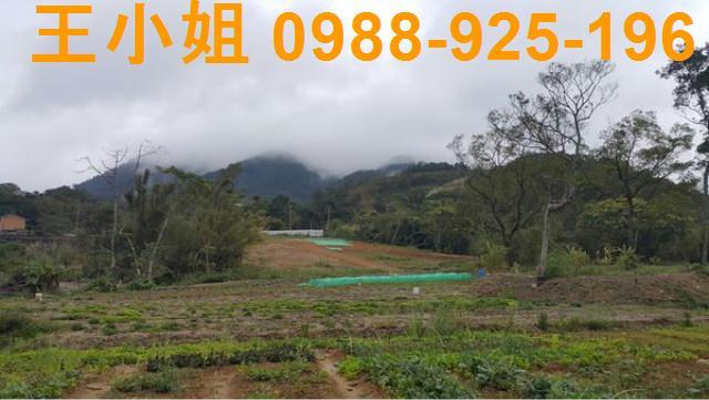 龍潭農地-7