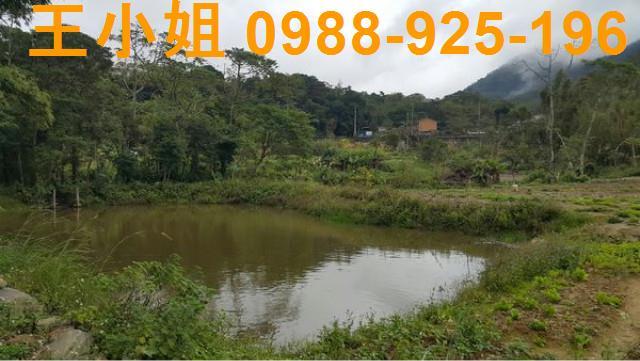 龍潭農地-8