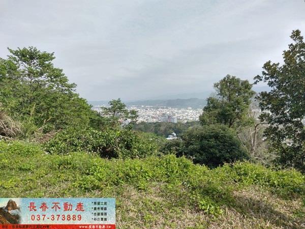 苗栗農地-1