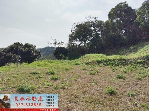 苗栗農地-2