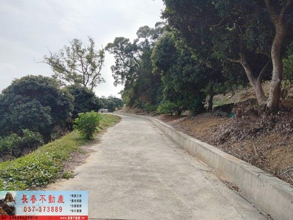 苗栗農地-7