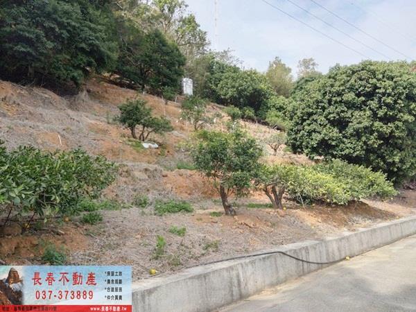 苗栗農地-8