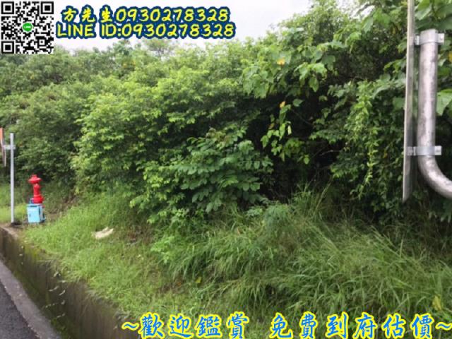 台南農地-6