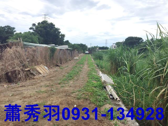 台中后里農地-1