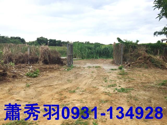 台中后里農地-2