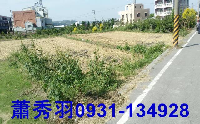 台中后里農地-1