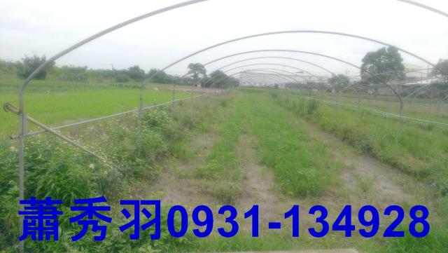 台中后里農地-1