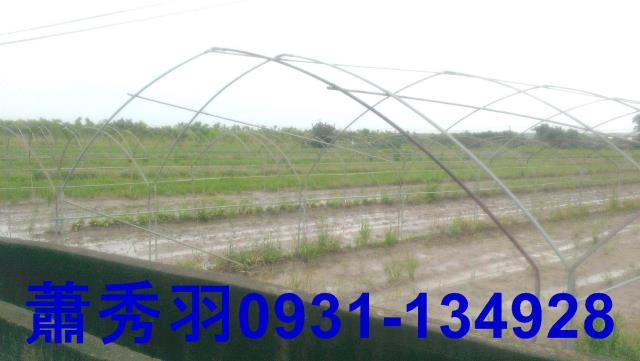 台中后里農地-3