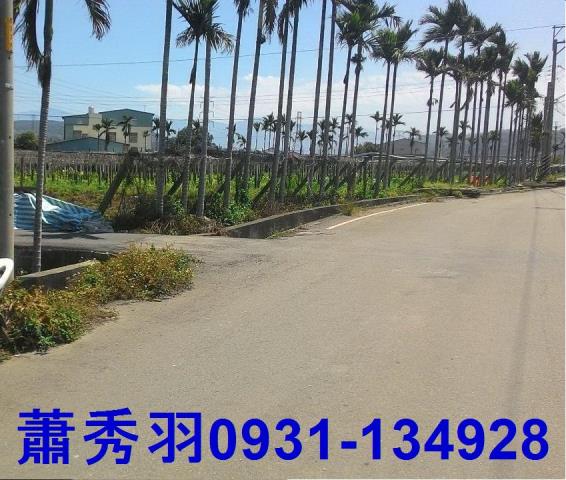 台中后里農地-3