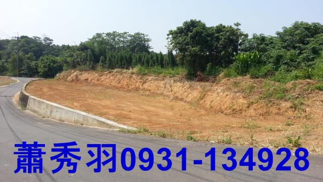 台中后里農地-1