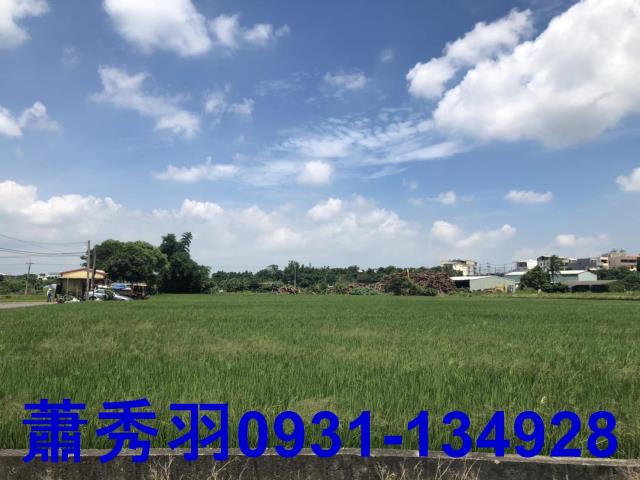 台中后里農地-1