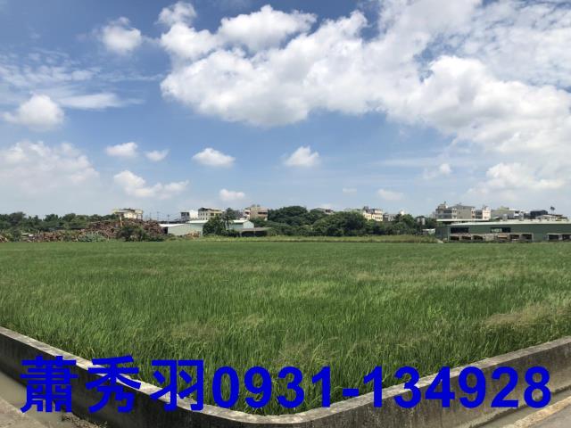 台中后里農地-2