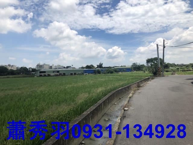 台中后里農地-3