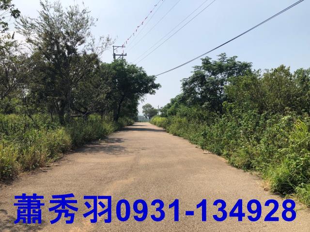 台中外埔農建地-3