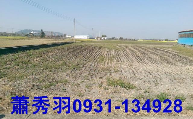 台中大甲農地-1