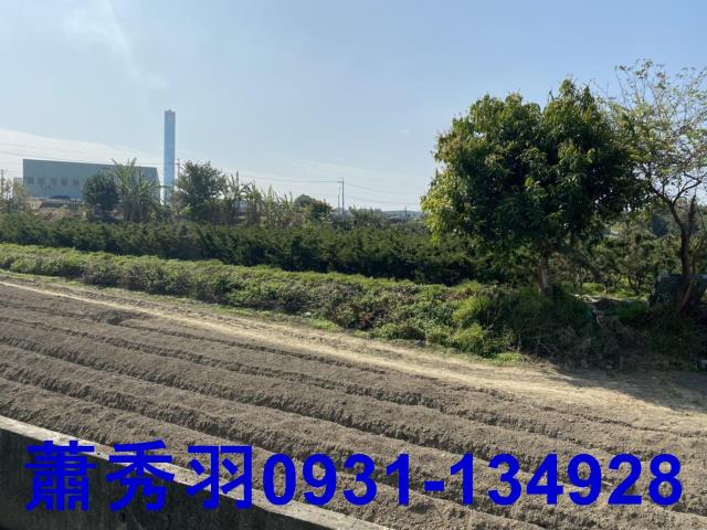 后里農地-3