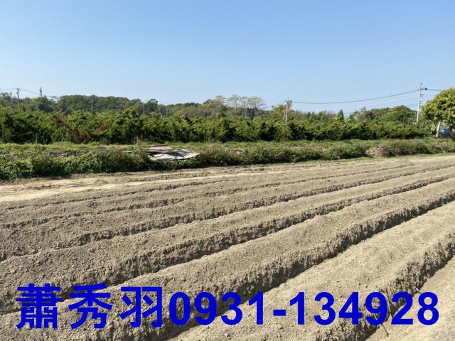 后里農地-1