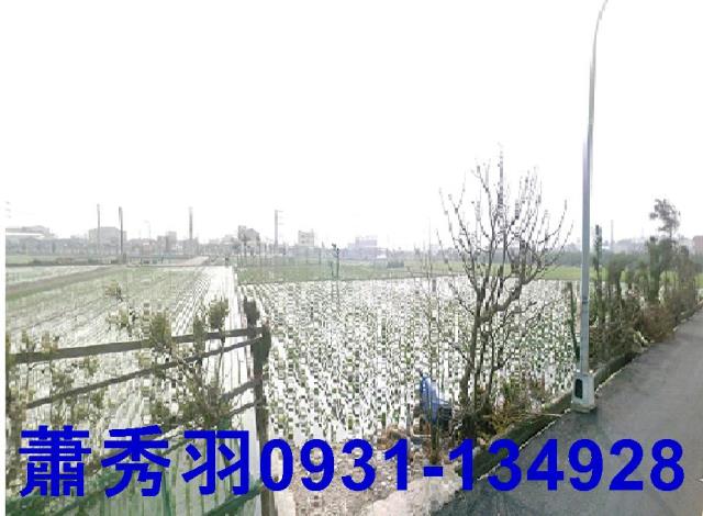 大甲農地-1