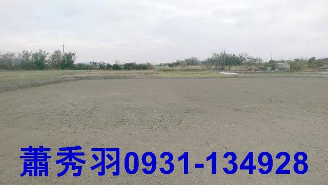 大甲農地-1