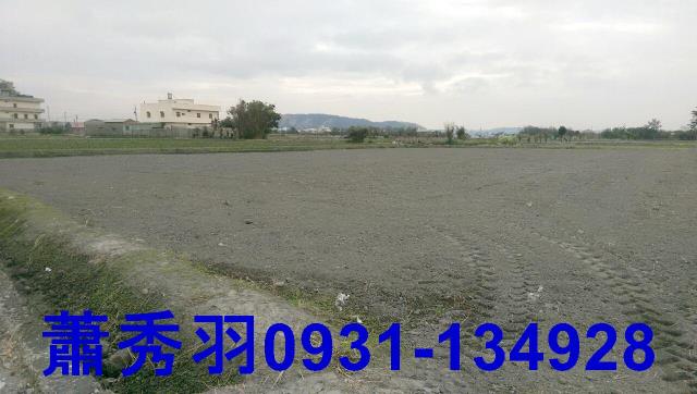 大甲農地-3