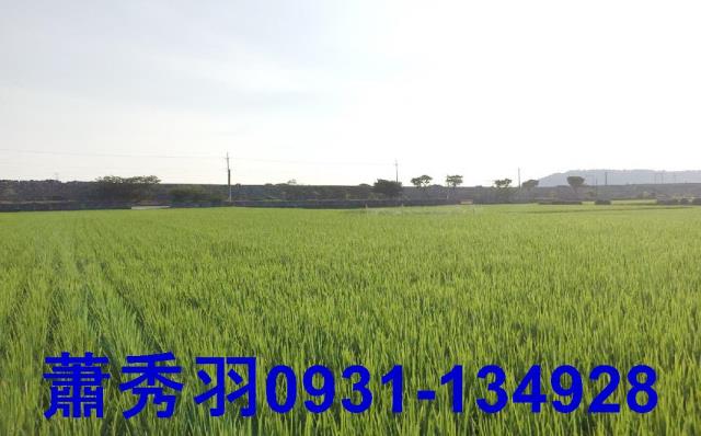 大甲農地-1