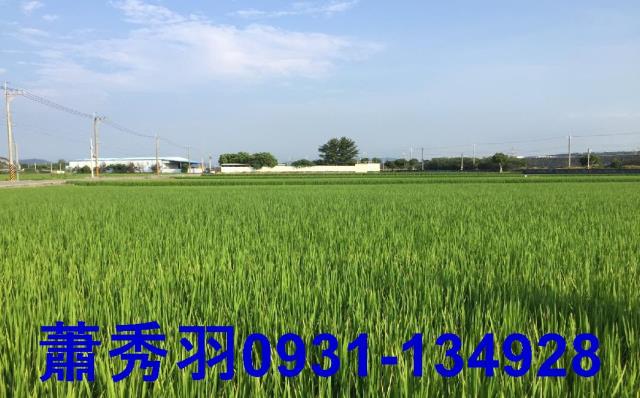 大甲農地-3