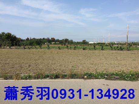 苗栗苑裡農地-1