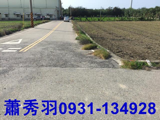 苗栗苑裡農地-4