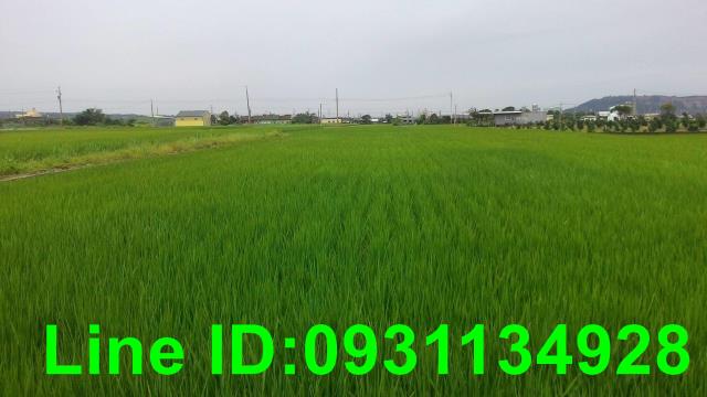 苗栗苑裡農地-2