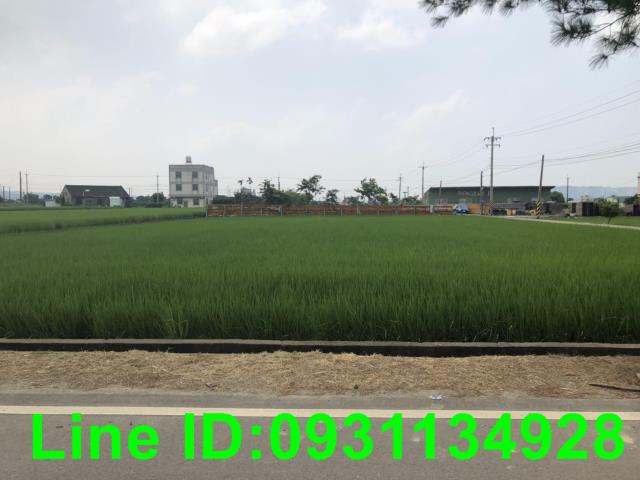 苗栗苑裡農地-1