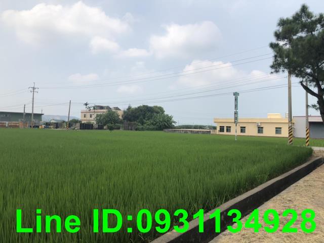 苗栗苑裡農地-2