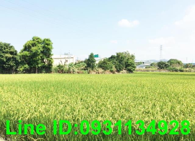 豐原農地-1