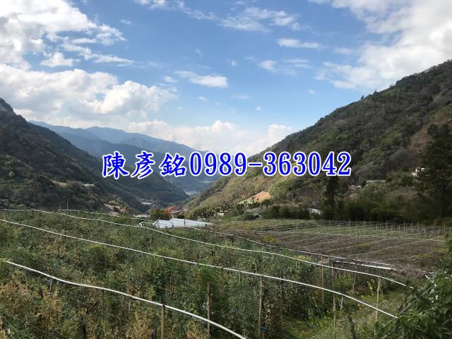 南投信義鄉休閒地-6