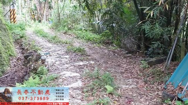 苗栗建地-2